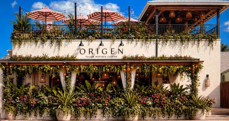 Origen Dunedin - Dunedin, Florida