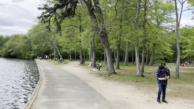 Outdoor Fitness Stations That Double as a Gym