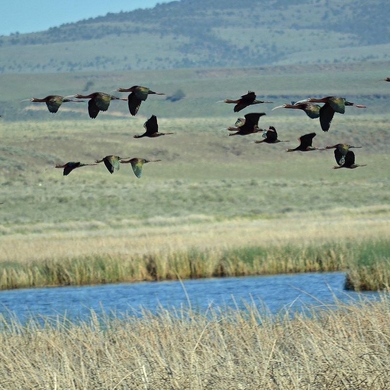 Outdoor Recreation Right Outside Your Door
