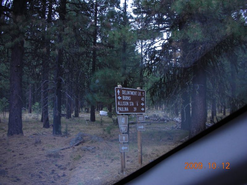 Outdoor Recreation That Costs Almost Nothing