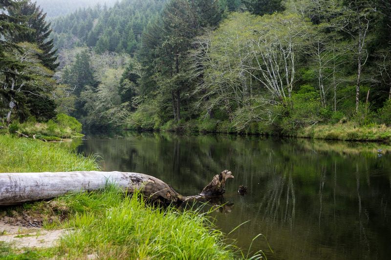 Outdoor Recreation for Every Energy Level