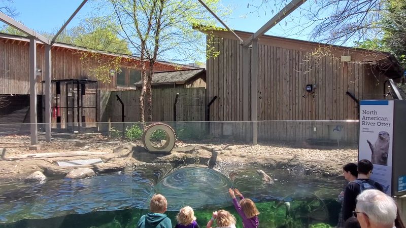 Outdoor Wildlife Area Hidden Like a Secret Zoo