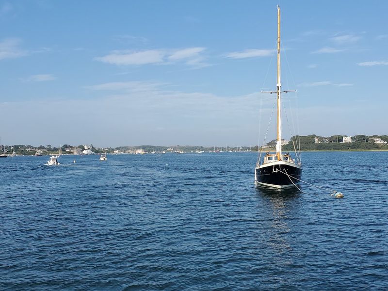 Outermost Harbor and Seal Watching