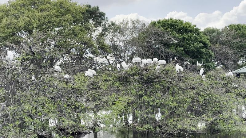 Over 150 Bird Species Call This Place Home