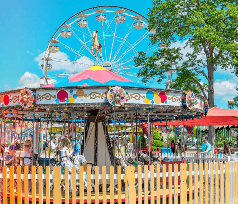Over 40 Rides for Every Thrill Level Over 40 Rides for Every Thrill Level
