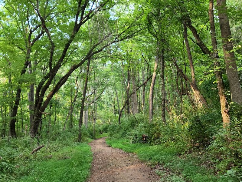 Over 5 Miles of Trails Perfect for Every Skill Level