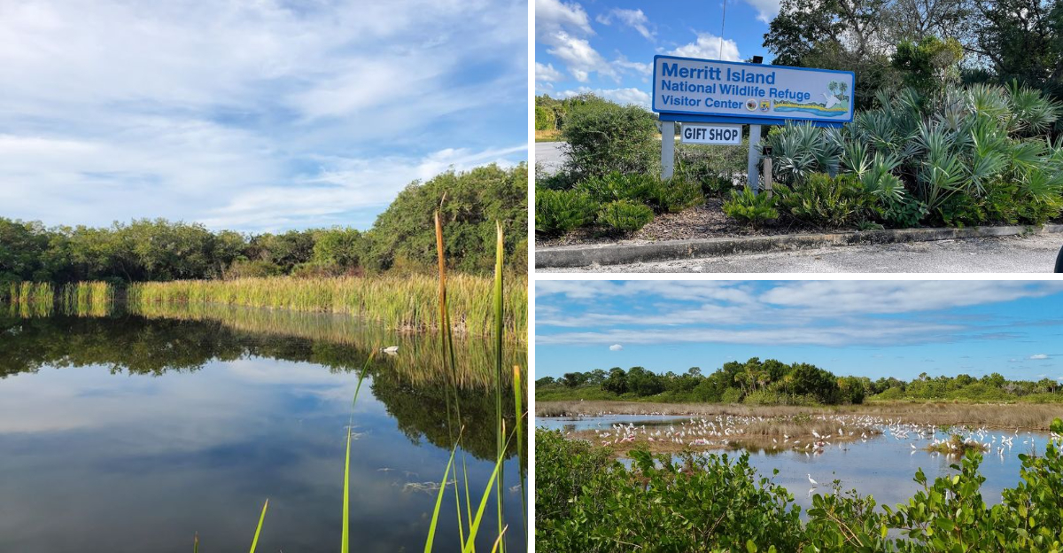 Paddle Through Glowing Blue Waters On This Magical Nighttime Canal Adventure In Florida