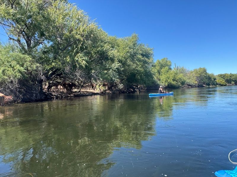 Paddleboard Rentals for a Fresh Perspective on the Water Paddleboard Rentals for a Fresh Perspective on the Water