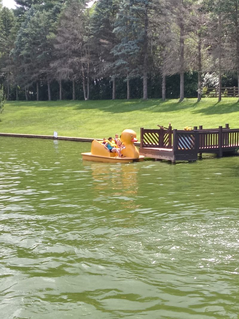 Paddleboats and Lake Swimming for a Relaxed Afternoon