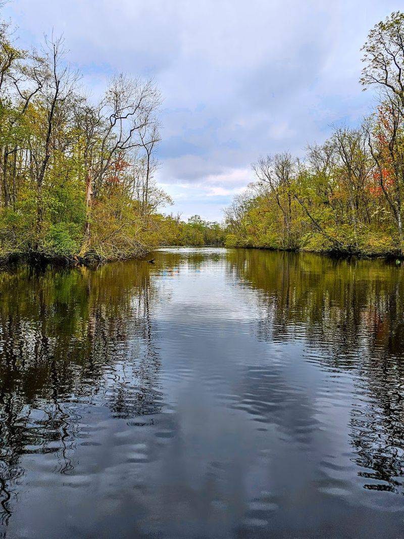 Paddling the Wild and Scenic Pocomoke River