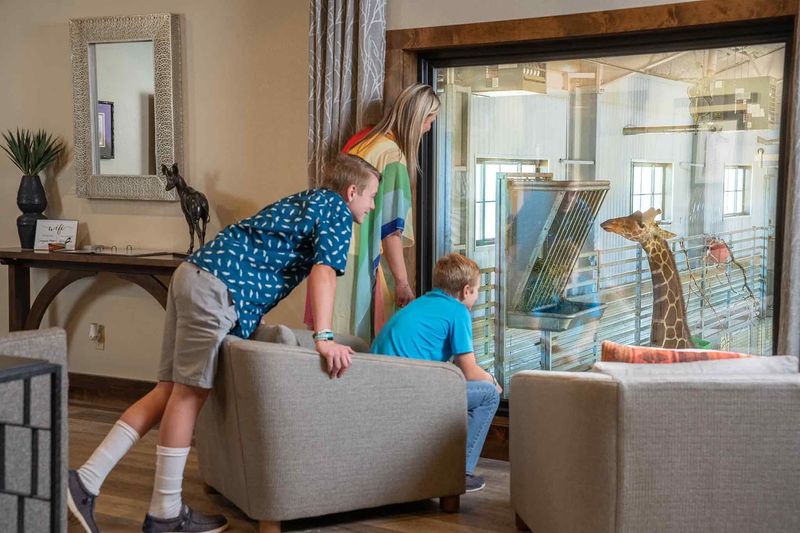 Painting With Giraffes: The Coolest Souvenir You Will Ever Own