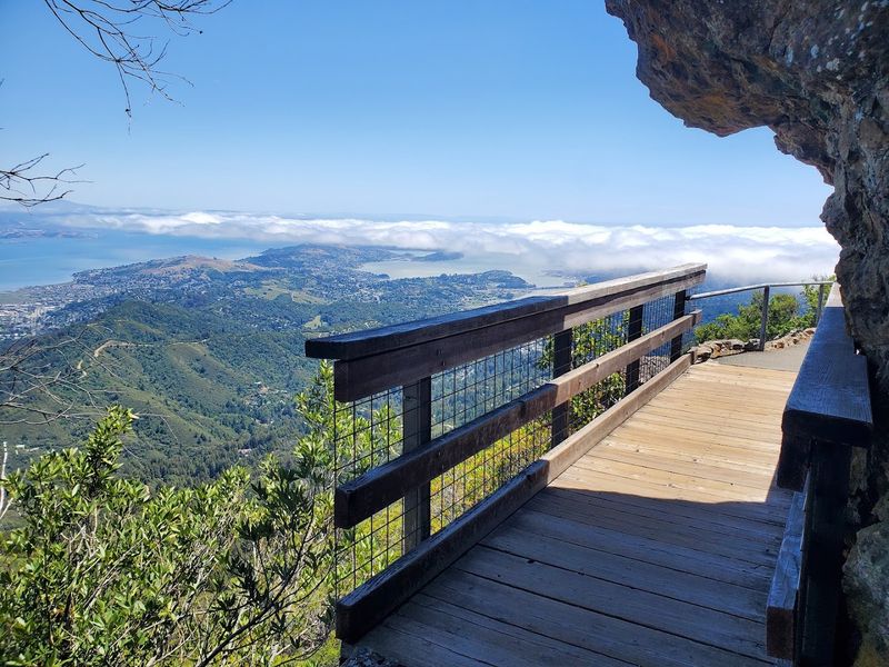 Pairing the Visit with Muir Woods