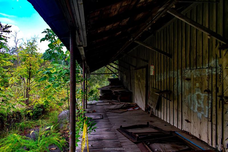 Paranormal Tours for the Brave and Curious Paranormal Tours for the Brave and Curious