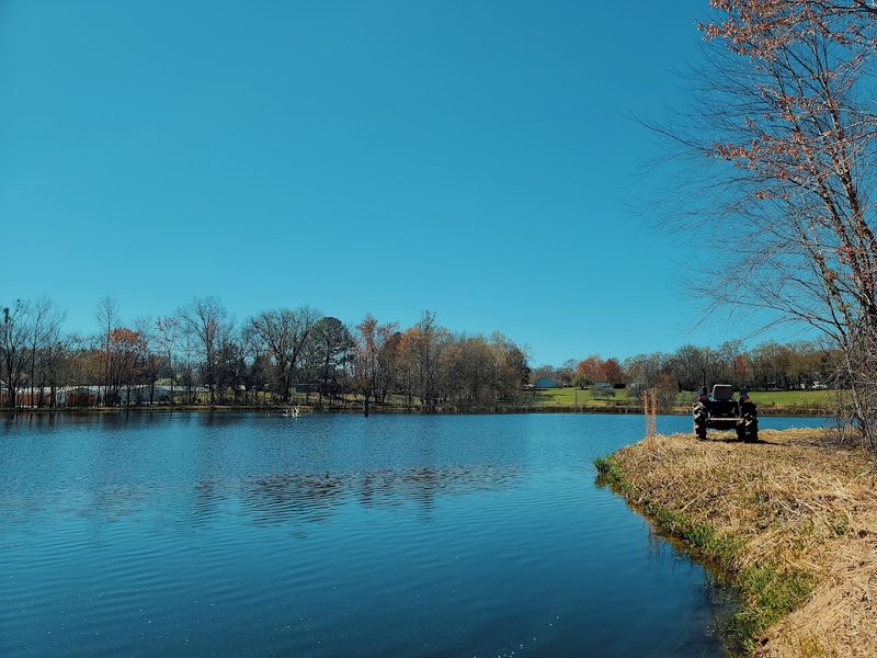 Paris Landing State Park — Nature at Your Doorstep