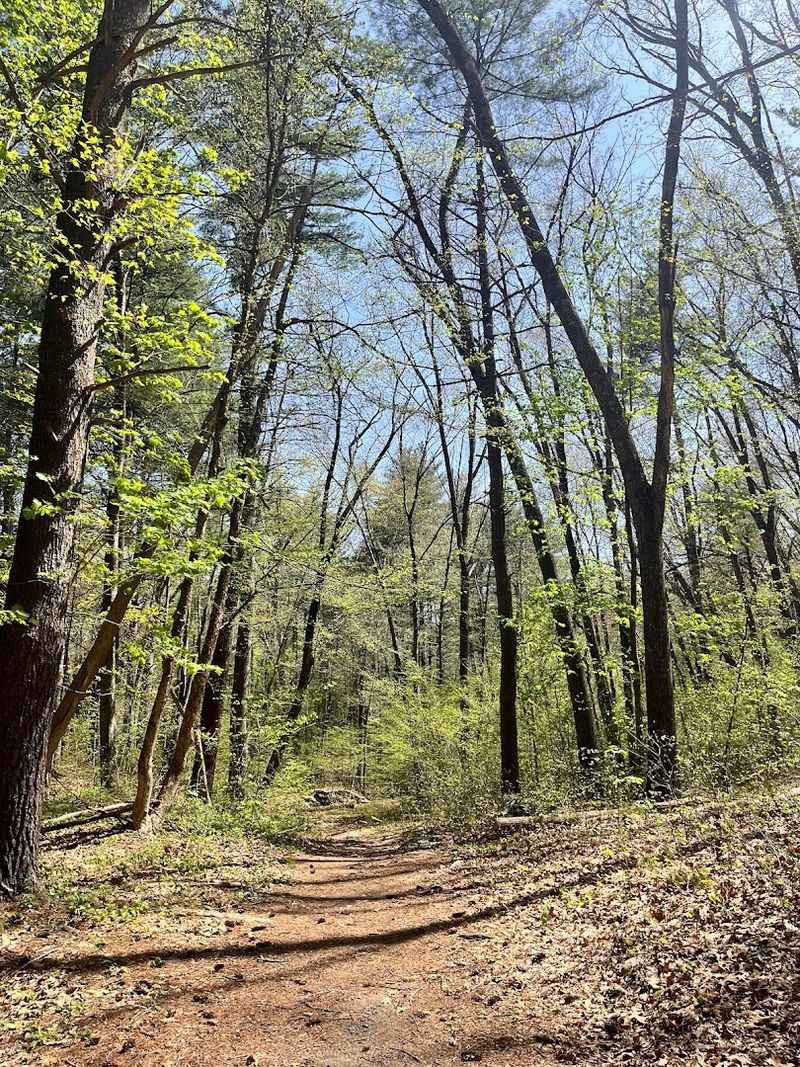 Parking Situation and Trail Access Details