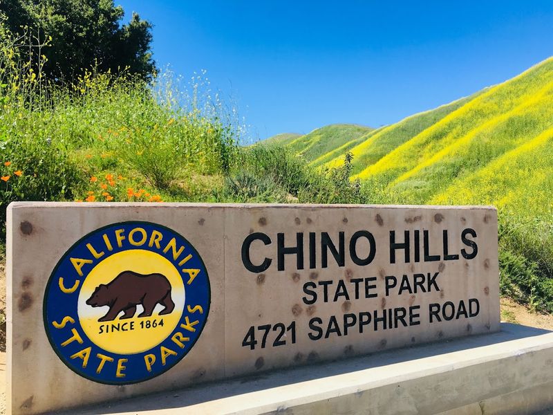 Parking Tips and Entrance Fees That Every First-Timer Should Know Parking Tips and Entrance Fees That Every First-Timer Should Know