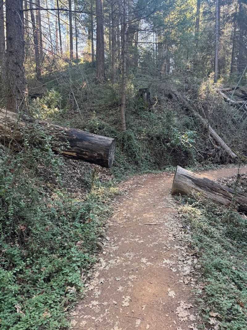 Parking Tips and Trail Access Points