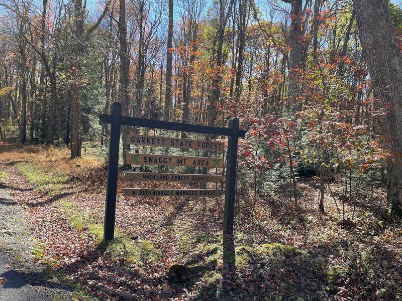 Parking at the Trailhead: Tips to Save Your Sanity