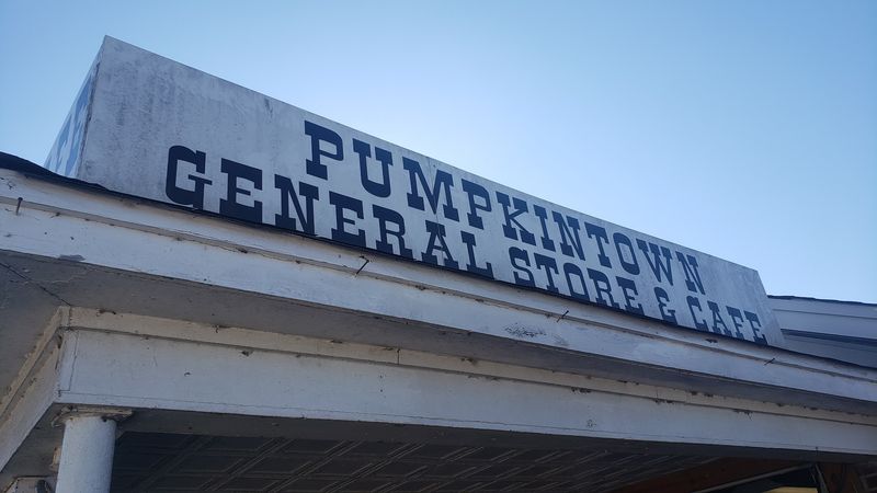 Part of a Broader Pumpkintown Community Experience