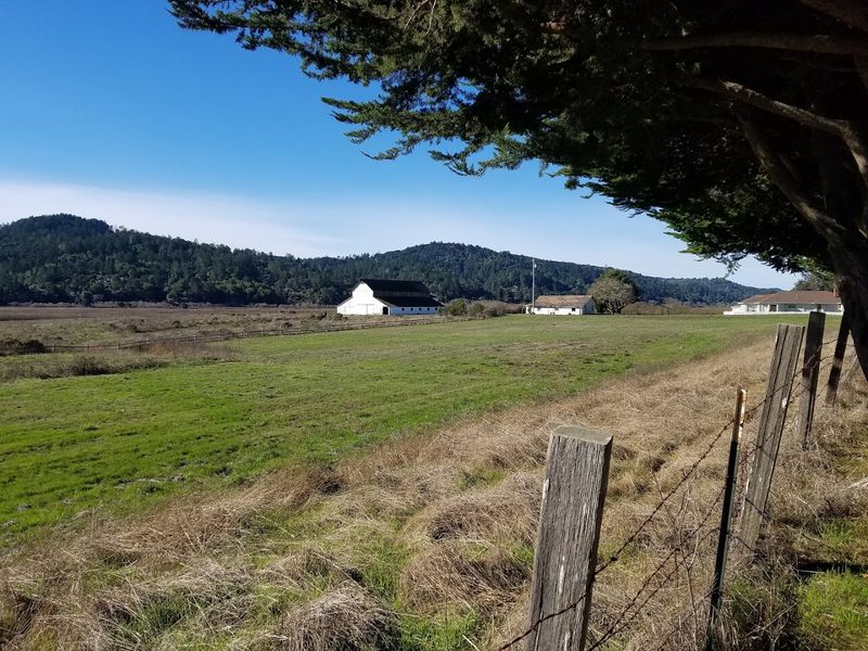 Pastoral Beauty That Painters Dream About