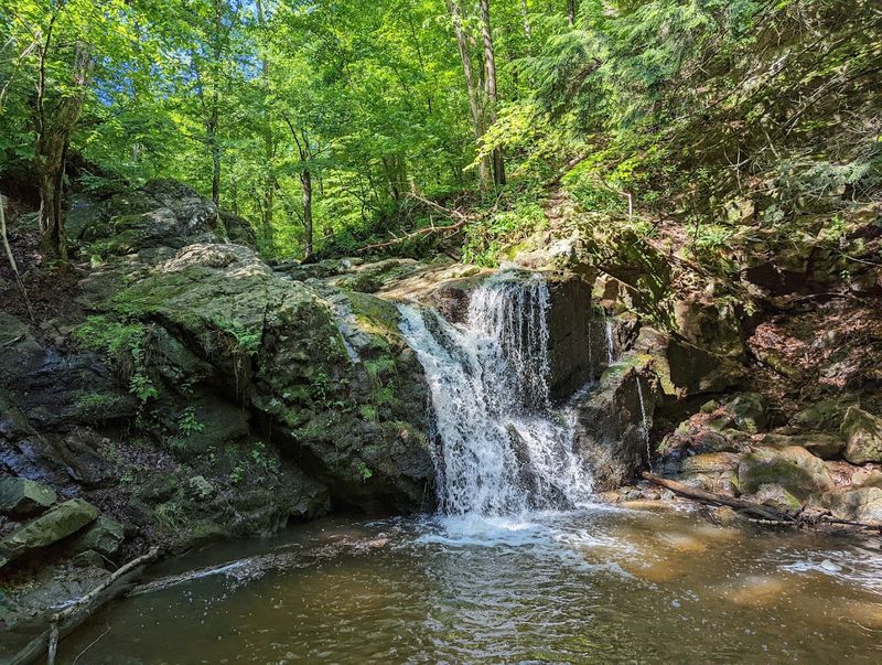 Patapsco Valley State Park - Ellicott City Patapsco Valley State Park - Ellicott City