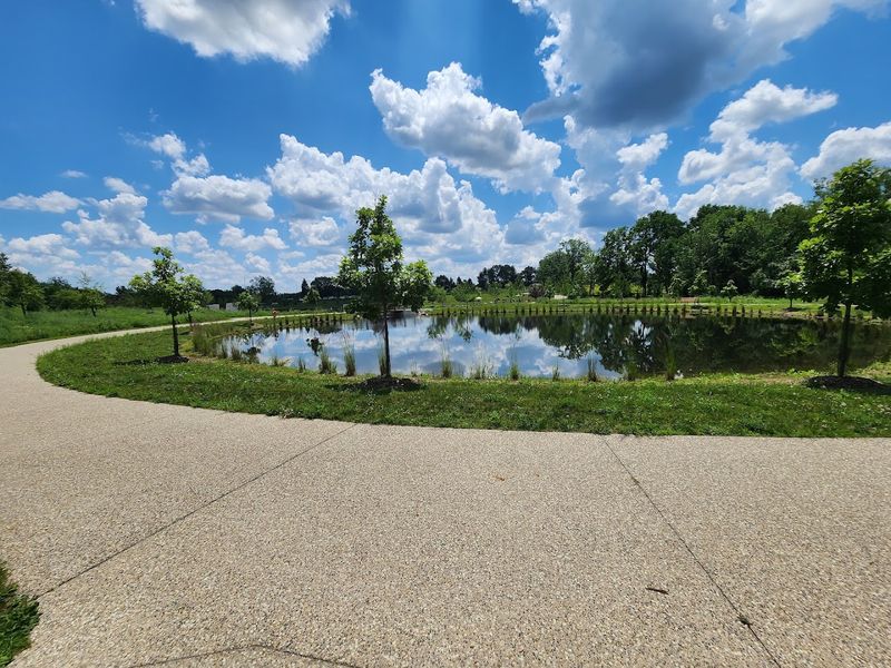 Paved Walking and Multi-Use Trails