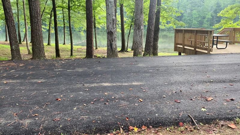 Pavilion Rentals Perfect for Group Gatherings