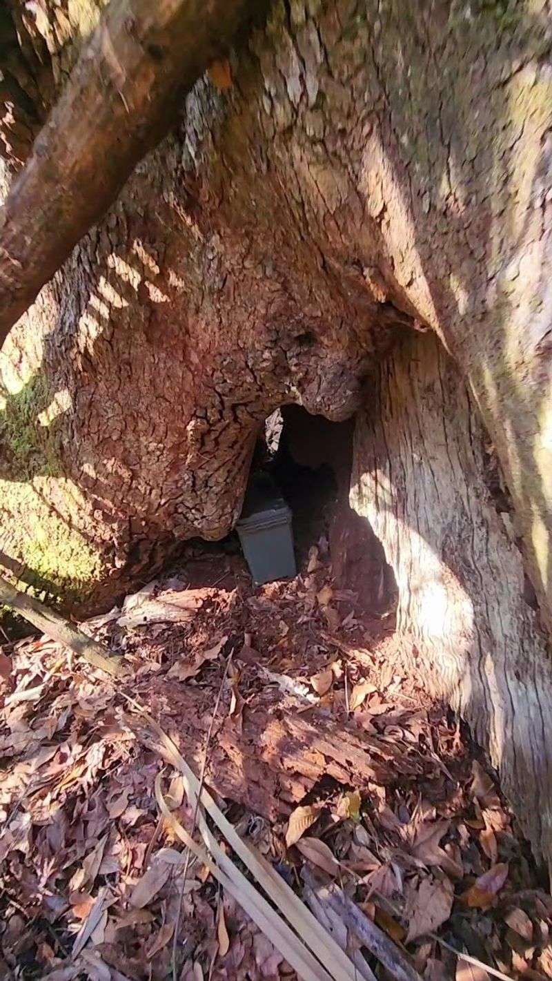 Peace Cave and the Underground Adventure