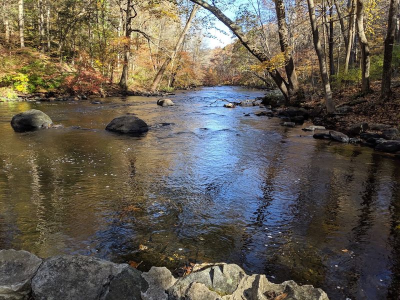Peaceful Atmosphere That Beats the Busy Alternatives