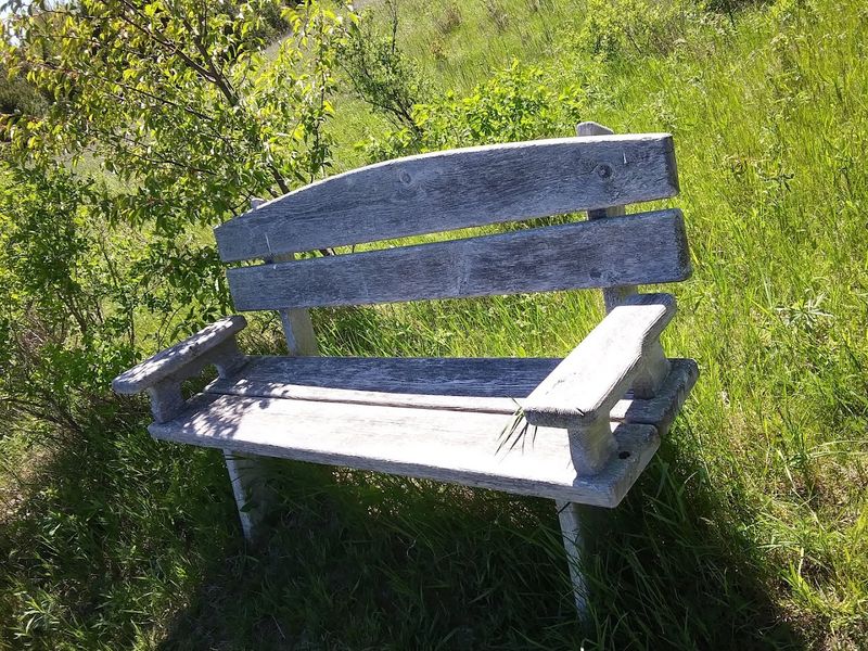 Peaceful Benches Placed Right Where You Need Them