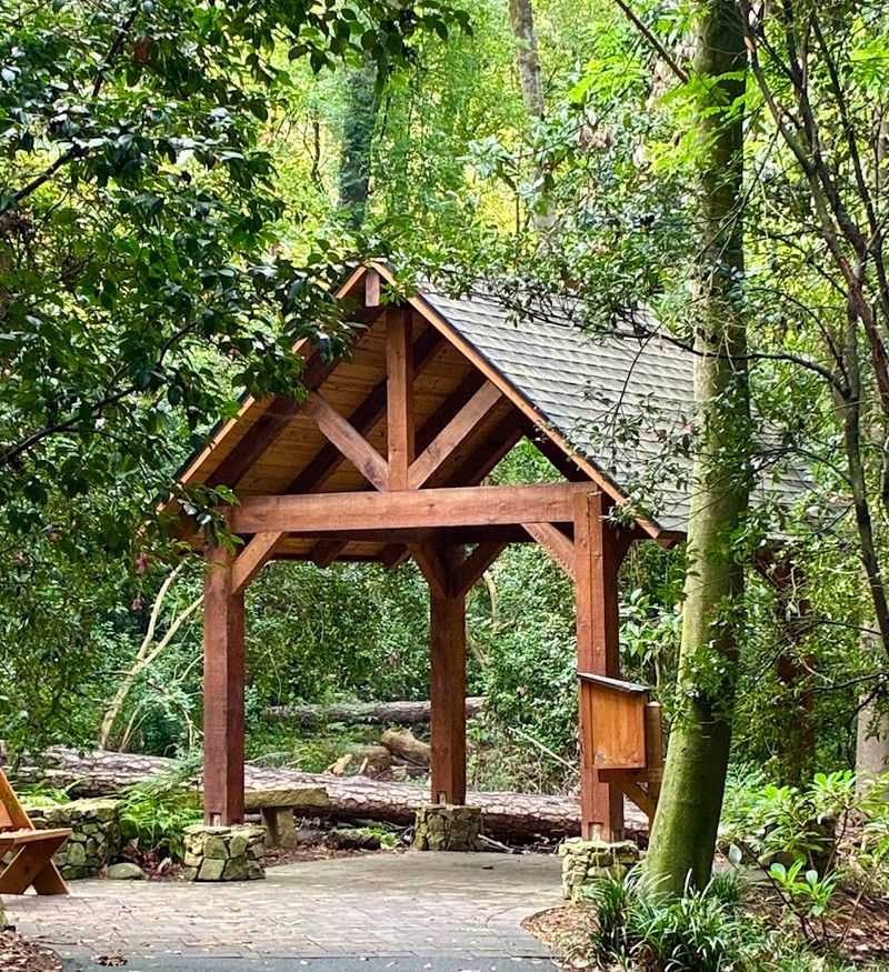 Peaceful Benches and Sitting Spots Designed for Quiet Reflection