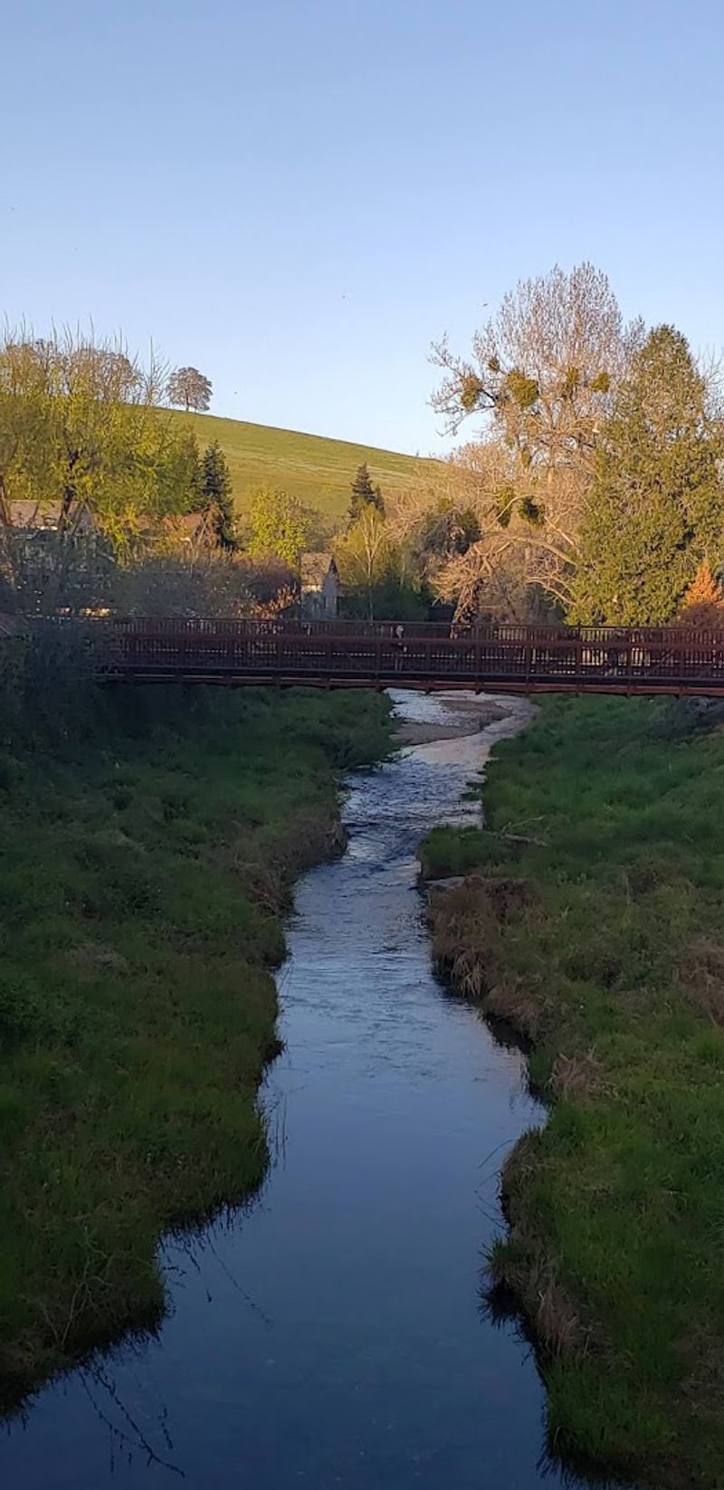 Peaceful Creek Walks That Feel Like a Hidden Secret