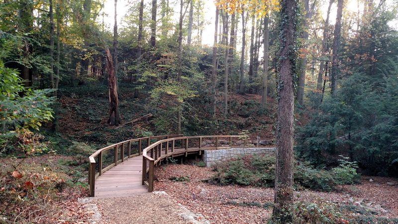 Peaceful Forest Trails Perfect for Escaping the City Peaceful Forest Trails Perfect for Escaping the City