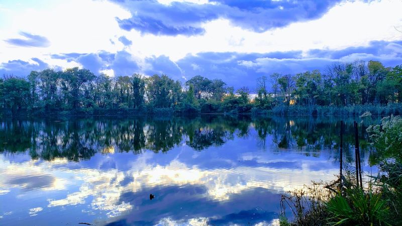 Peaceful Freshwater Ponds