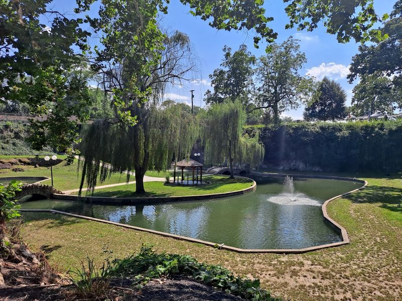 Peaceful Koi Fish Pond That Steals the Show Peaceful Koi Fish Pond That Steals the Show
