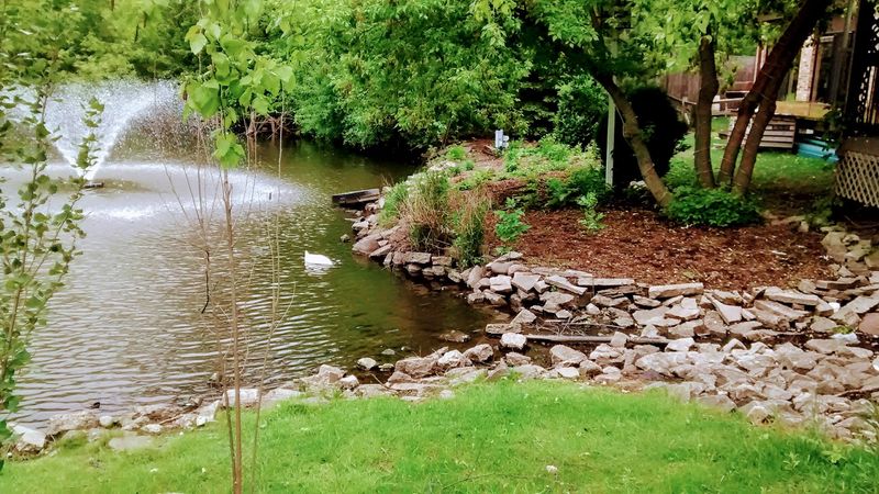 Peaceful Nature Trails Perfect for a Quiet Escape