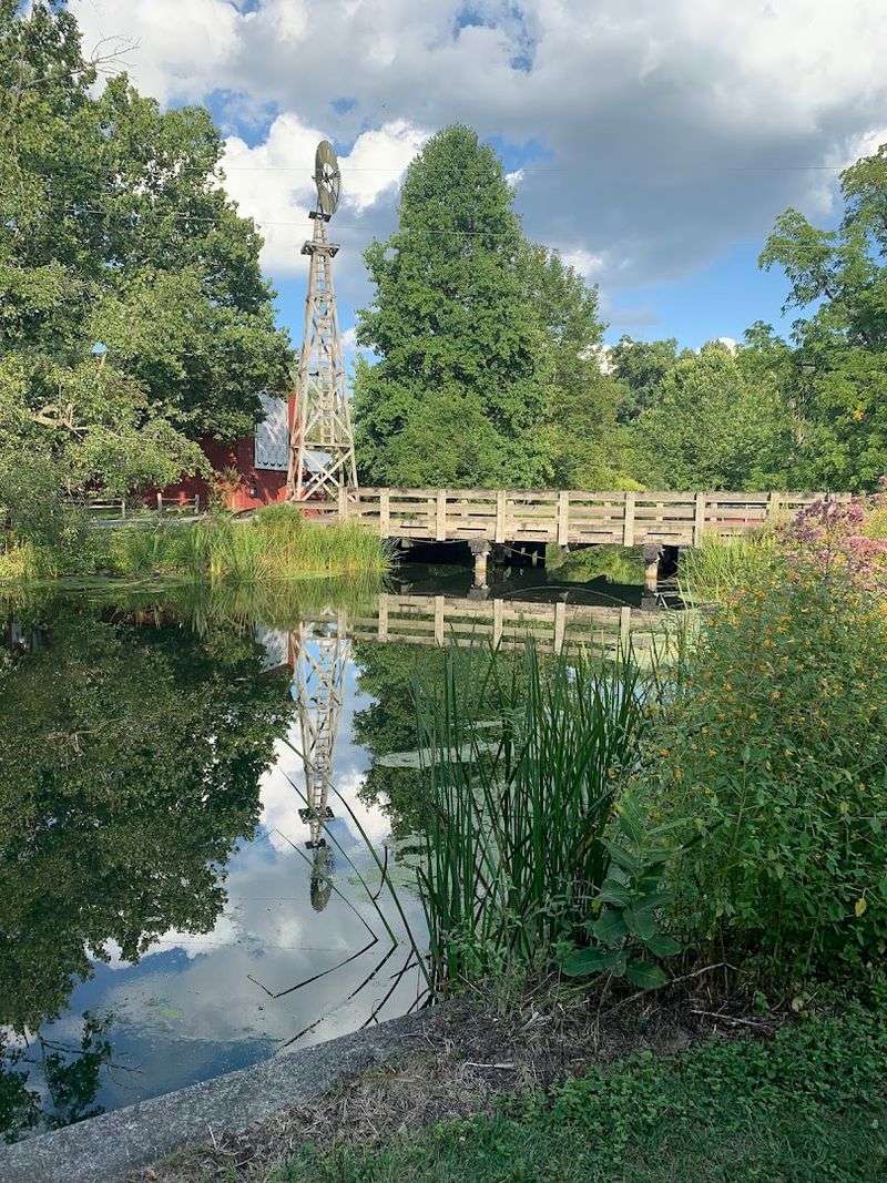 Peaceful Picnic Areas With Gorgeous Pond Views Peaceful Picnic Areas With Gorgeous Pond Views