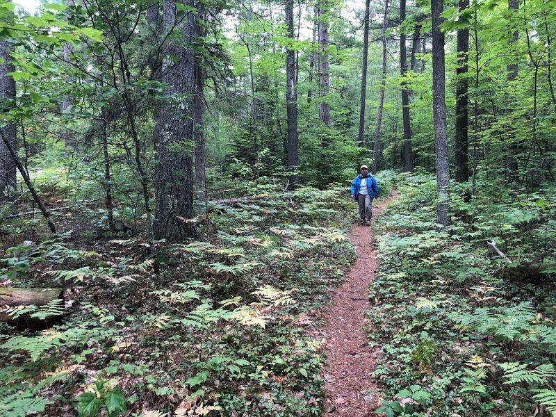 Peaceful Portage Trails Through the Forest