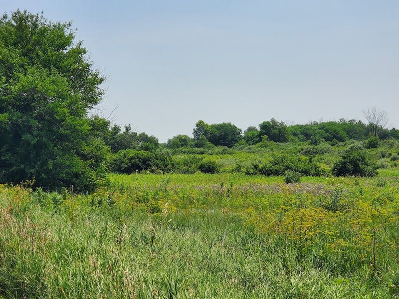 Peaceful Solitude Just an Hour From Chicago