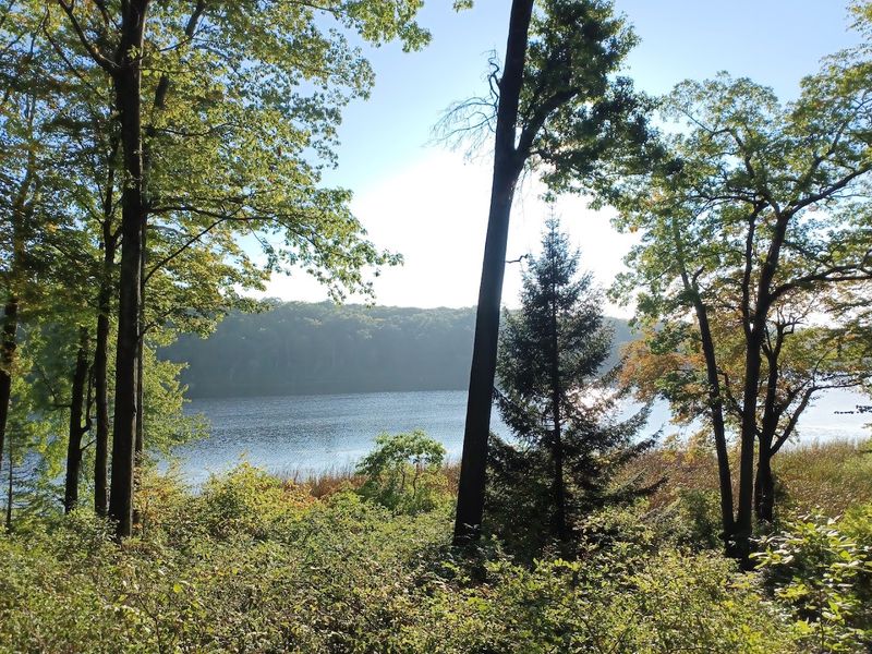 Peaceful Spots for a Quiet Lunch in Nature Peaceful Spots for a Quiet Lunch in Nature