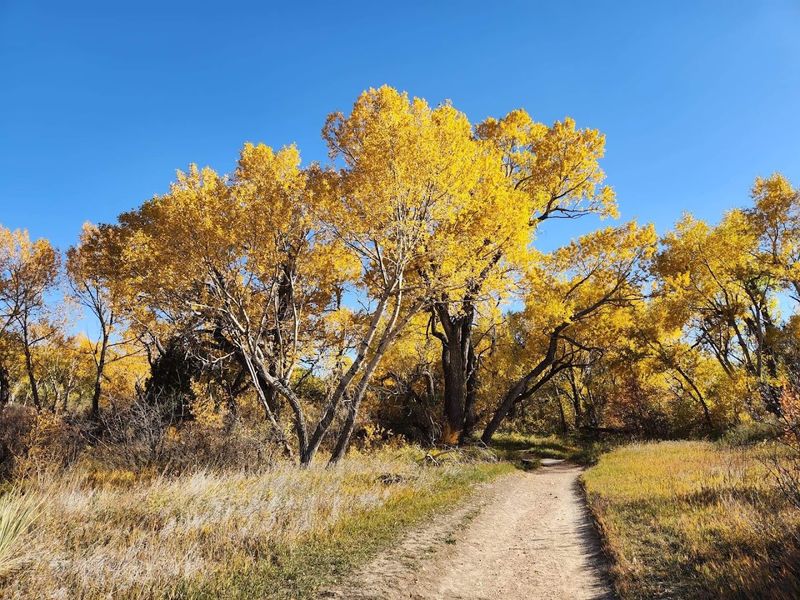 Peaceful Trails and Stunning Scenery
