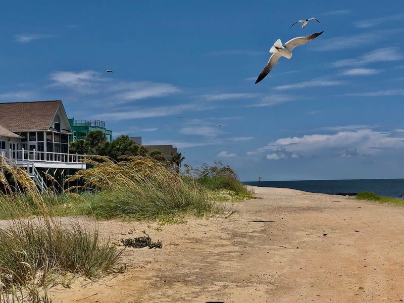 Peaceful Vacation Rentals With Old-School Charm