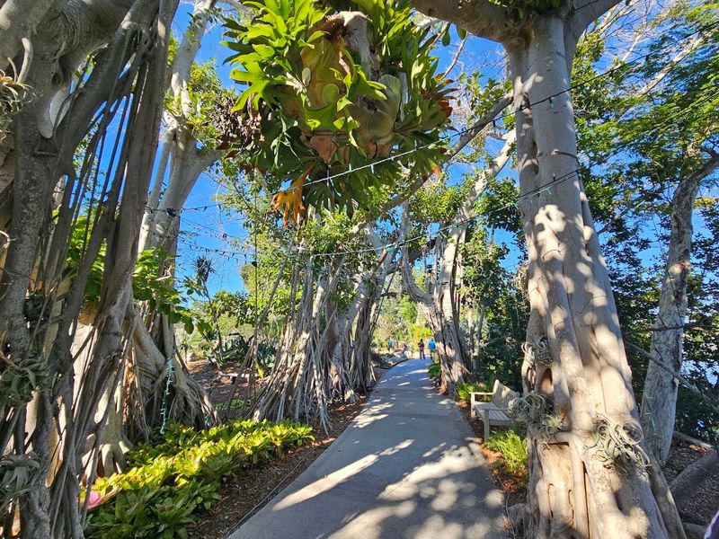 Peaceful Walking Paths Perfect for Every Visitor Peaceful Walking Paths Perfect for Every Visitor