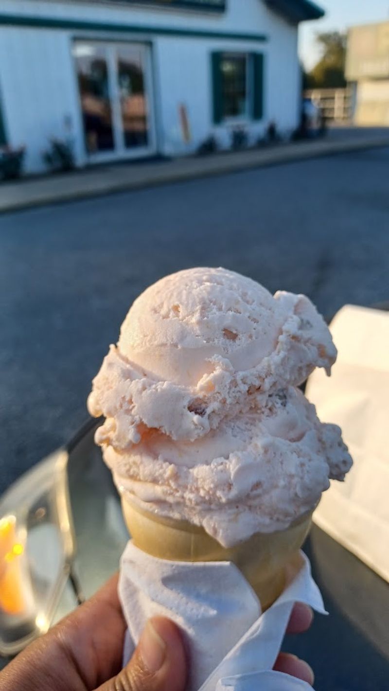 Peach Pecan Ice Cream That Keeps Travelers Coming Back Peach Pecan Ice Cream That Keeps Travelers Coming Back