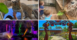 Pennsylvania Zoo That Ranks Among the Largest in the U.s