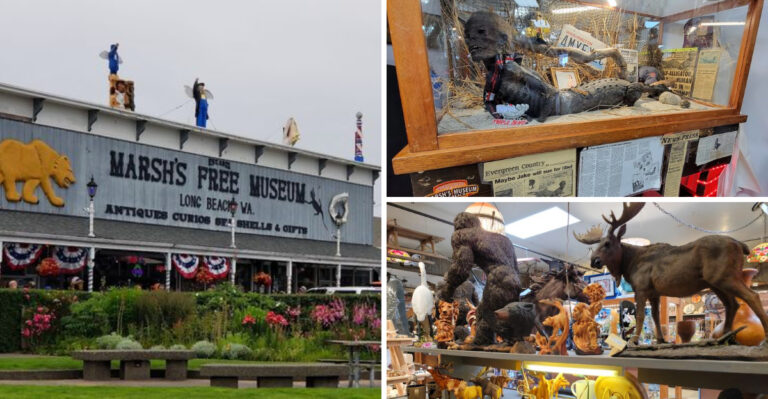 People Travel From Across Washington To See The Half-Human, Half-Alligator At This Roadside Museum