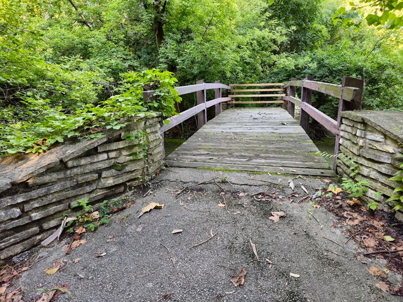 Perfect Spot for Morning Runs and Fitness Walks