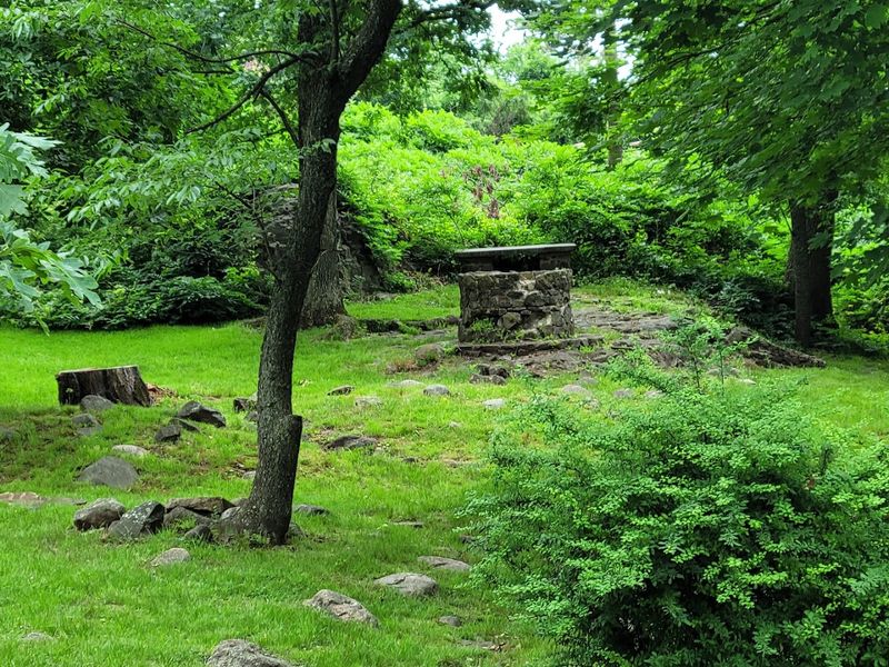 Perfect Spot for a Peaceful Picnic Perfect Spot for a Peaceful Picnic