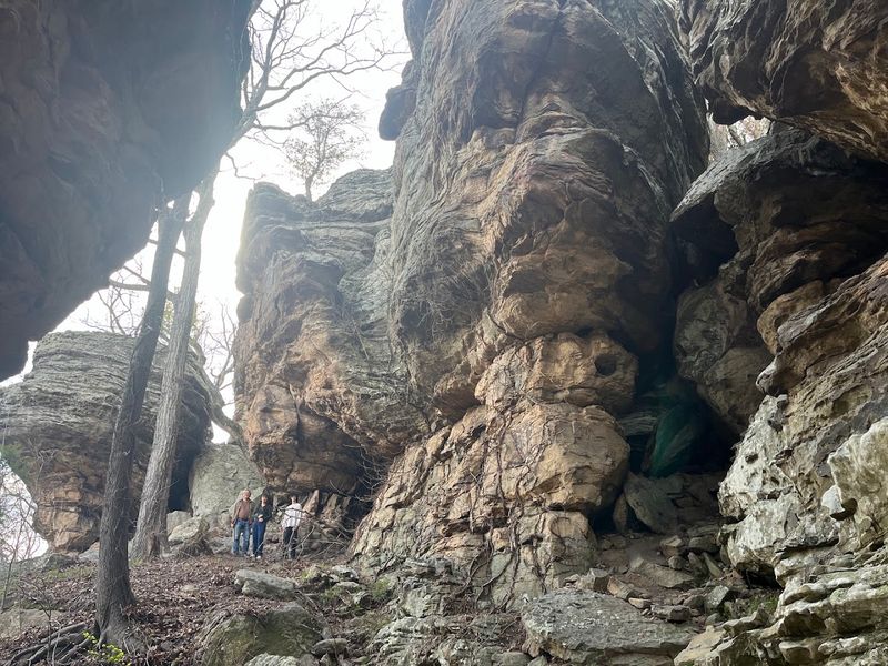 Perfect for Families and Kids Who Love Adventure