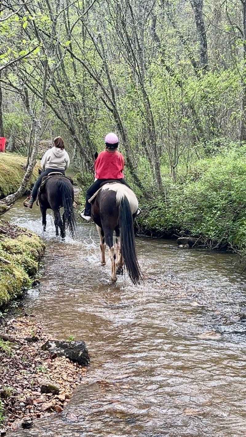 Perfect for First-Time Riders of Any Age